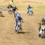 Greenfield glory as 2024 EXGP British EX Champions crowned at epic finale